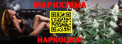 сатива Малгобек