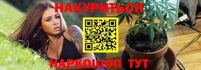 сатива Малгобек