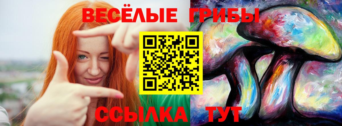 Воркута  Галлюциногенные грибы мицелий  Вход с VPN  Галлюциногенные грибы мицелий 
