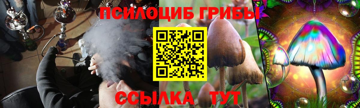 Галлюциногенные грибы Psilocybine cubensis Воркута